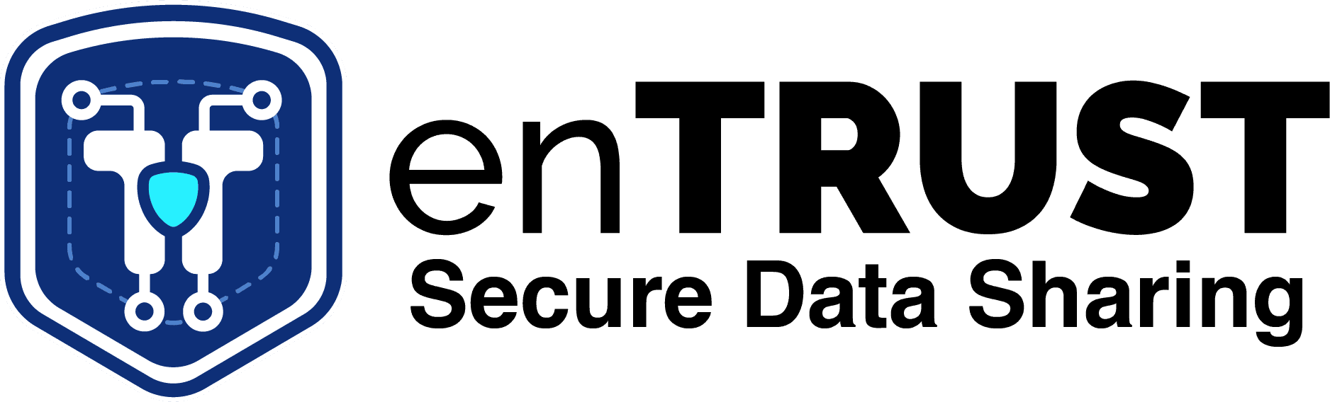 Logo: Secure Data Sharing, light